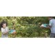 NERF Super Soaker Splash Mouth 30 cm vattenpistol